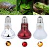 Pet Heating Lamp Amphibian Sun Lamp Reptile Heat Bulb 220V