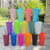 Straw Cup Drink Straw Mugs With Lid Plastic Tumbler Matte Coffe Bottle Cup Food Grade Pp Plastic With Straw