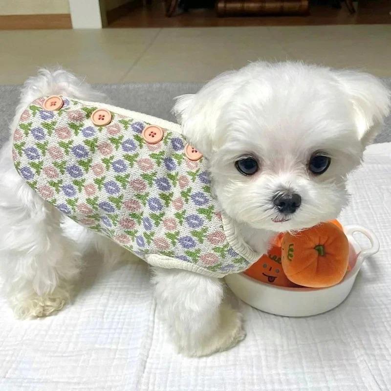 Autumn Winter Puppy Dog Vest Knitted Small Flower Vest Small Dog Warm Sweater Ins Wind Cat Two-legged Pet Clothes Costume