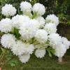 10 PCS Fake Hydrangea Flowers 66cm Artificial Chrysanthemums Ball Flowers Large Mums Stems Bridal Home Garden Party Wedding Decoration Outdoor Decor