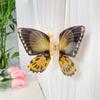 Animals Butterfly Hair Claw Printing Large Shark Clip Creative Butterfly Hair Clip  Female