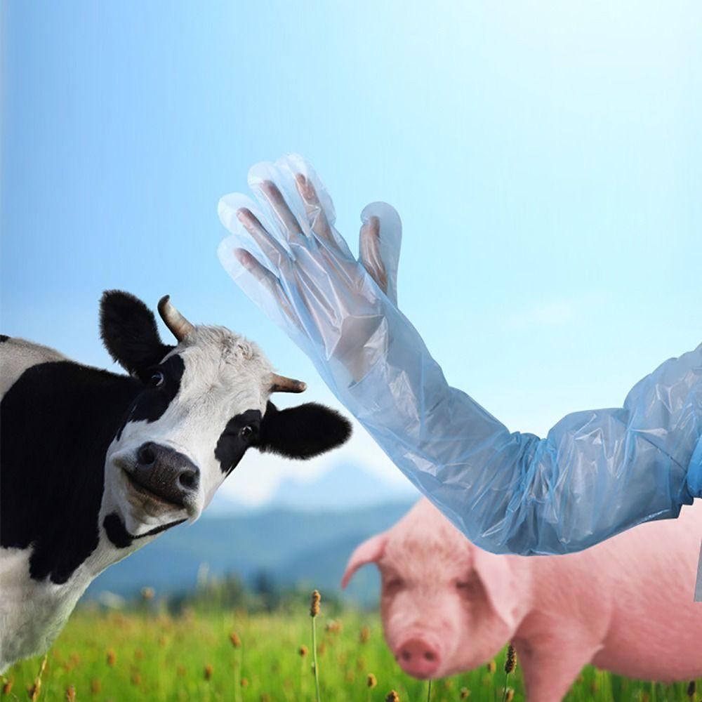 50Pcs Plastic Disposable Vet Glove Clear Farm Glove Non-toxic Cattle Sheep Glove Midwifery