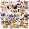 50 Cat Stickers Internet Celebrity Cat Emoticon Pack Graffiti Stickers Cute Funny Cat Head Stickers