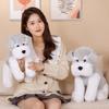 35 /45cm Kawaii Schnauzer Plush Toys Lovely Stuffed Soft Animal Pillow Simulation Dolls Children Girls Birthday Christmas Gift