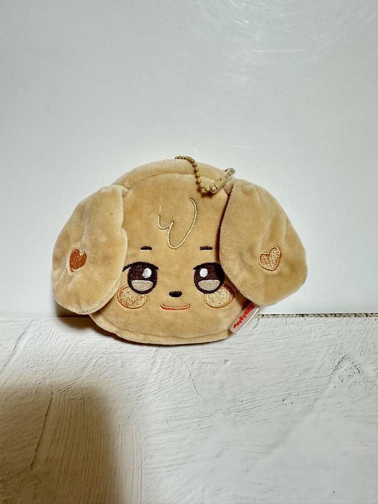 [USED] ATEEZ ANITEEZ Chudong Yi Yunho Pouch