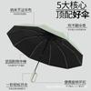 Umbrella Automatic Umbrella Weather and Rain Women's Parasol Large Thickened Reinforced Men's Large Folding Umbrella