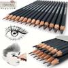 12-Piece Precision Drawing Pencil Set - Professional Sketching & Painting Pencils, 2H-8B Hardness Range, Ideal for Artists, Students & Enthusiasts