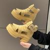 Classic Thick Soled Sandals, Women's New Hollow Thick Heel Sandals, High Top High Heels, Summer Casual Versatile Sandals