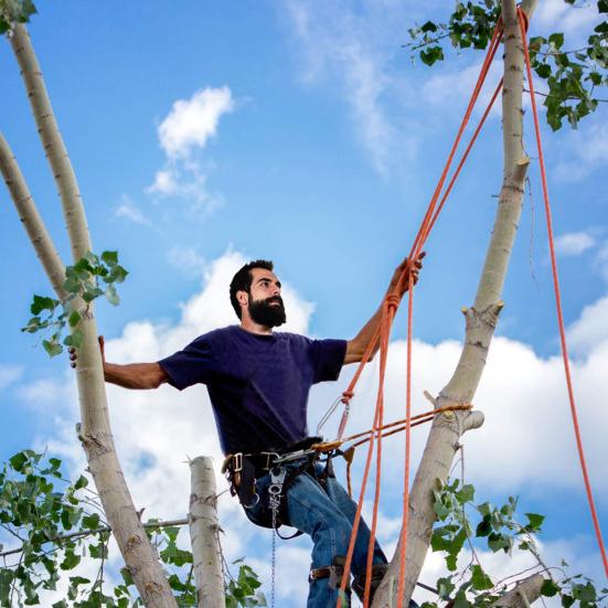 Water Skiing Rope with Handle Stainless Steel Carabiner Buckle 4m Nylon Tow Rope Sled Cart Pull Rope for Wakeboard Kneeboard Snowboard Equipment