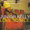 CD JUNIOR KELLY - Love So Nice VPCD1607 VP US 2001 US Reggae, Ska & Dub