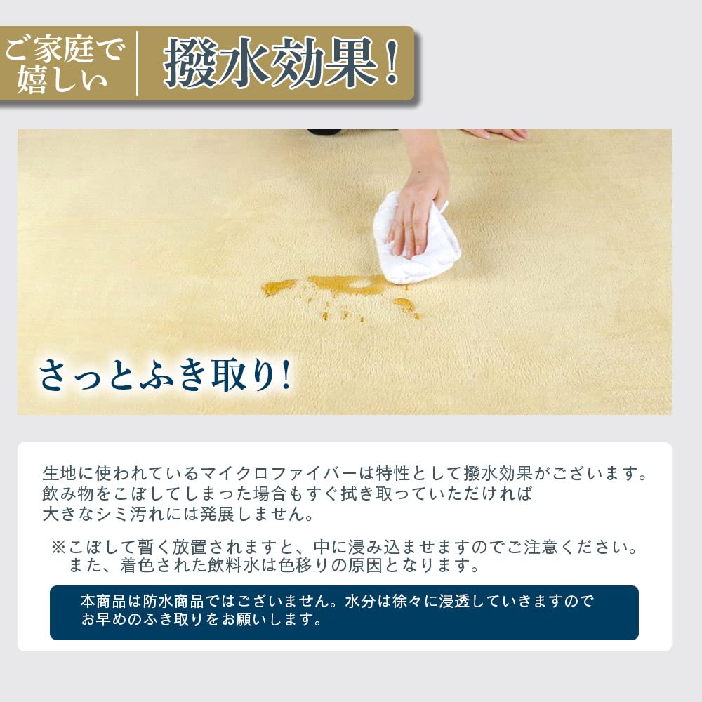 Freely Rug Carpet High Resilience Extra Thick 200 X Antibacterial and Thick Rug All Microfiber Size Rug, 25mm, 250cm, Anti-mite Treatment, Mat,