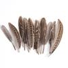 80 Natural Pheasant Feather Decorative Diy Jewelry Hair Accessories Material Cat Stick Toy Accessories