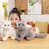 Cute Cute Simulation Kitten Doll Plush Toy Cat Doll Children Sleep Soothing Doll