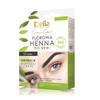 Delia Pro Henna Black Brow Powder 4g
