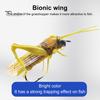 Grasshopper Fishing Lure Hook Realistic Fly Fishing Artificial Bait Fishhook Bionic Locust Lure Jig Hook Freshwater Saltwater Fishing Accessories