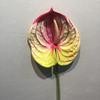 57CM Plastic Fake Single Stem Anthurium Artificial Flowers Artificial Anthurium
