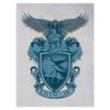 Ravenclaw Canvas Print