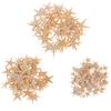 Sea Shells Size:0.5-3Cm 100Pcs Mini Starfish Craft Decoration Natural Sea Stars