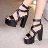 New 2025 Super High Heels Gladiator Sandals Ladies Summer 2025 Bandage Block Heel Platform Shoes for Office Model 41 42 43