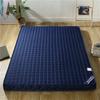 Soft Breathable Thicken Mattress Single Double King Size Foldable Bed Pad Anti -Mite Floor Tatami Mats Mattress Topper