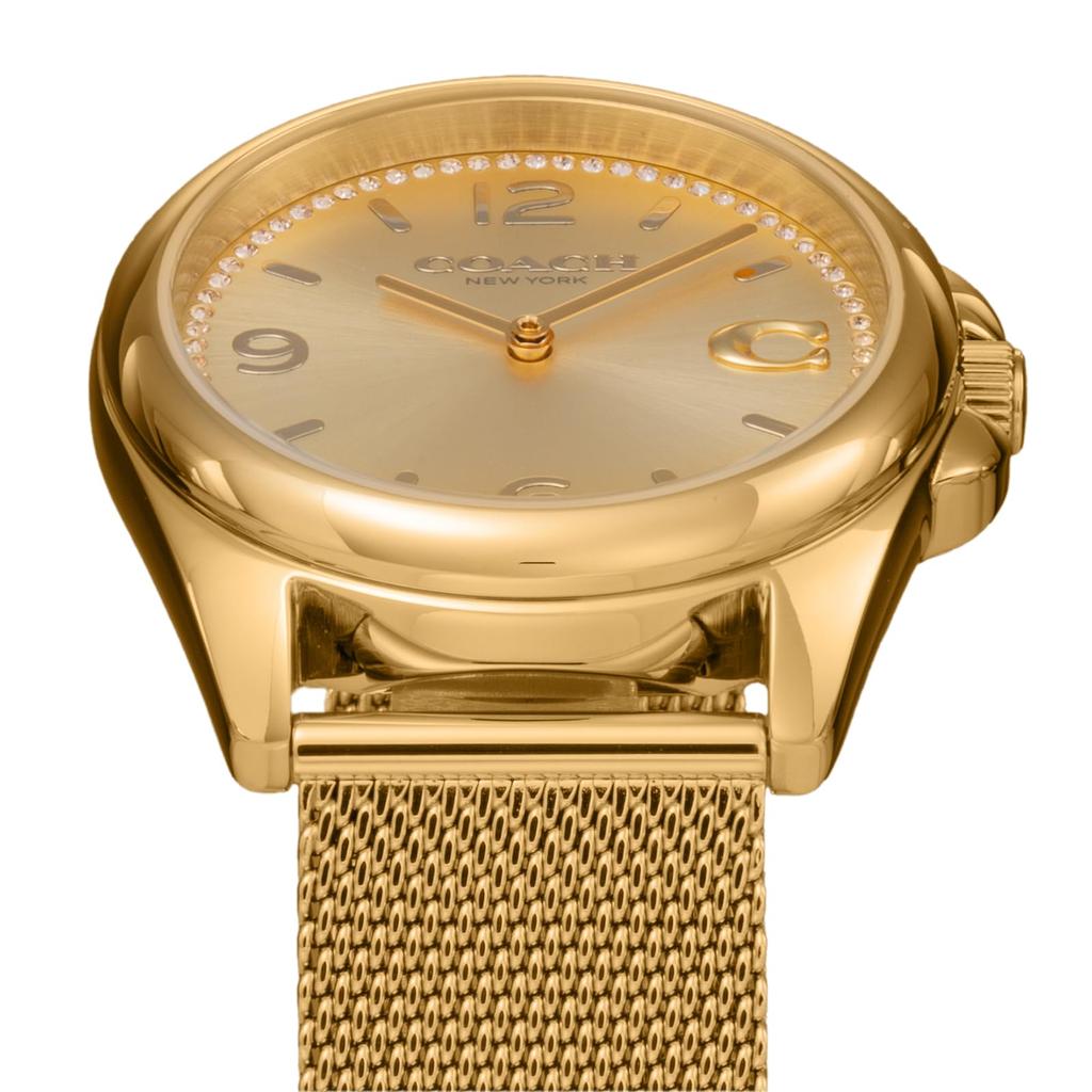 Watch GREYSON Yellow Gold Dial Quartz Daily Waterproof Mineral Glass 36mm 14504144 Gold [Coach] Women's [Item]