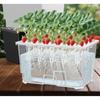 Growing System Kit 15 Holes Lightweight Garden Planting Container Box Grow for Outdoor