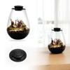 New Desktop Glass Plant Terrarium Micro Landscape Glass Bottle with Grow Light Creativity Dew Collection Glass Vase for Home