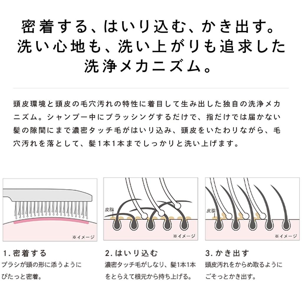 ReFa ION CARE BRUSH PREMIUM Black