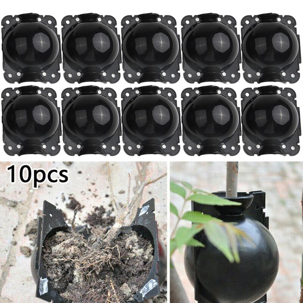 10x Plant Rooting Devices Growing Grafting Box High Pressure Propagation Ball US