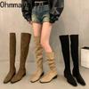 Designer Square Heel Stretch Women Over The Knee High Boots Autumn Winter Ladies Concise Long Botas De Mujer
