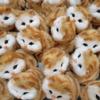 Realistic Meowing Stuffed Cat Toy for Kids and Home Decor