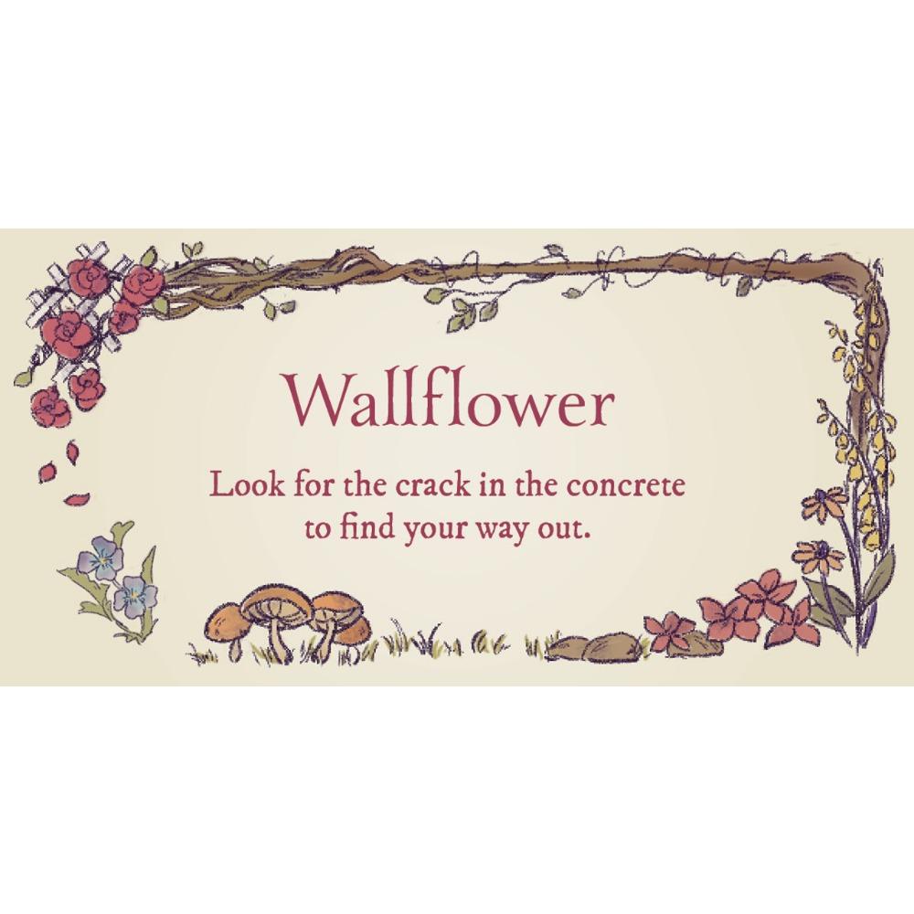 Secret Garden 40 Charming Cards 10.5*6cm Contains Small Signs and Encouragement Imbued with Magic From The Garden
