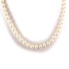 [J7773] - Ivory 'Perla' Necklace (8 Mm)