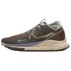 React Pegasus Trail 4 GORE-TEX Earth Dark Stucco Men Sneakers Brown Sanddrift HF5707-201