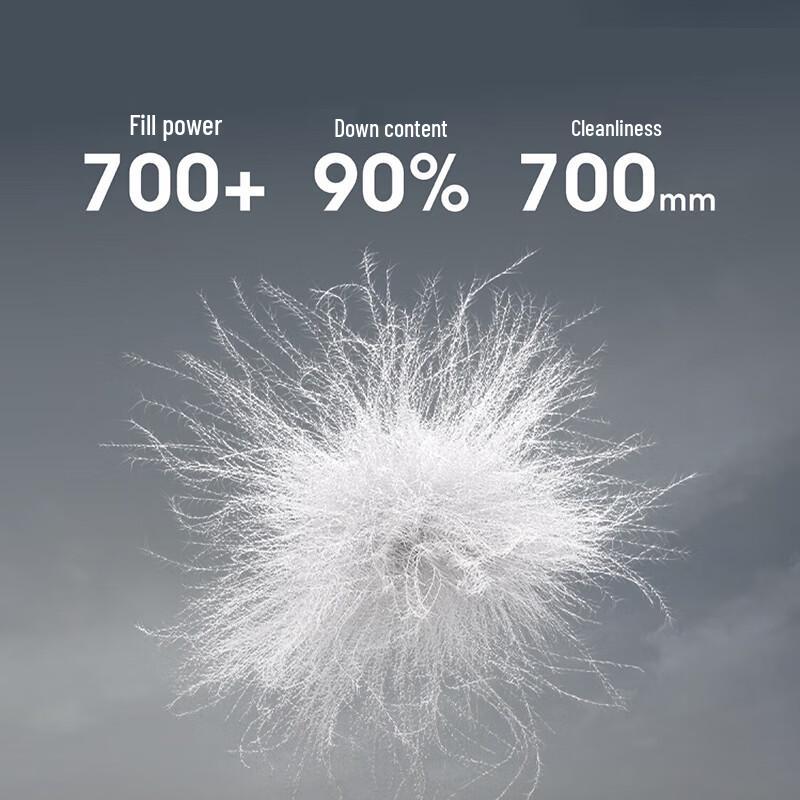 BOSIDENG Women's Lapel Commuter Goose Down Jacket B250134142