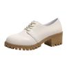 2025 Summer New Retro Thick Heel Women's Shoes Korean Version Student Medium Heel Lace-up Single Shoes Female Manufacturer