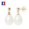 Compagnie Générale Des Perles - Gold Earrings and Genuine Cultured Pearls 9-10 Mm - Ball System - Women's Jewelry