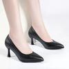 Fashion Sexy Pointed Toe Women's Pumps 2024 Autumn Fashionable Shallow Mouth Office Women Shoes Simple and Versatile Black High Heels