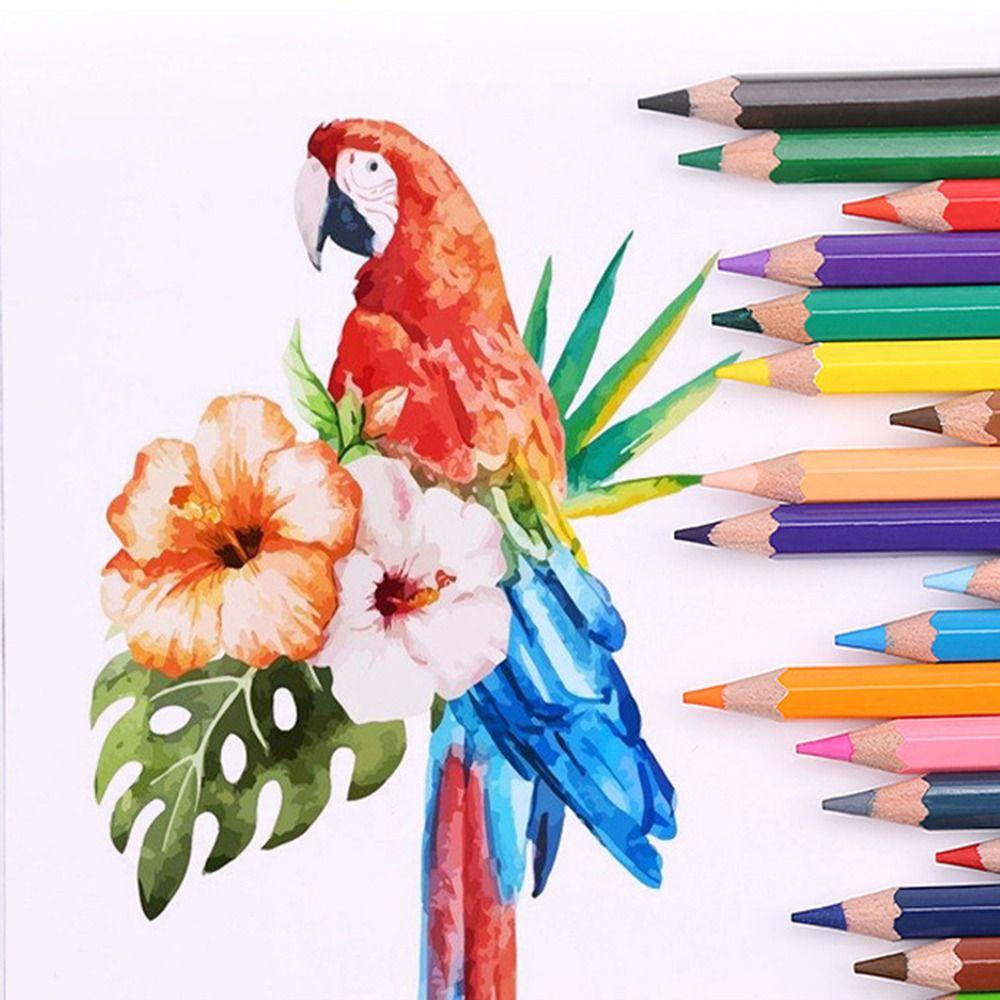 Oil-soluble Lead Core Art Supplies Color Pencil Set Sketch Pencils Hand-Painted Color Lead Brush