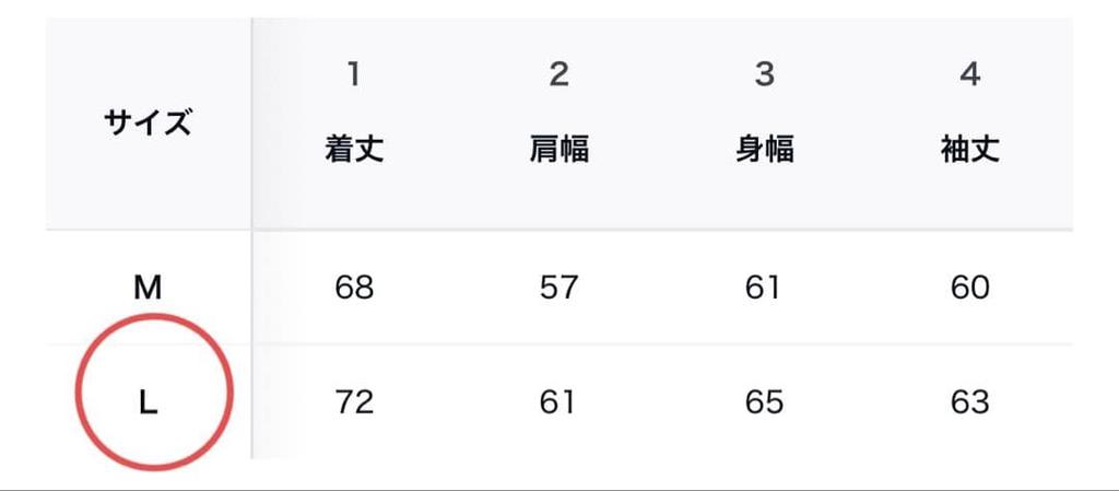 [USED] Straykids Hyunjin Wears Hoodie, Size L