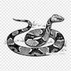 Boa Constrictor Rattlesnake Iron On Heat Transfer Printing Vinyl Patches Sticker for Clothes DIY Appliques Washable Patches