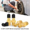 Anti-Corrosion Air Compressor Tanks Fill Valve 1/4 NPT 1/8 NPT M10 Automobile Tire Valve Core