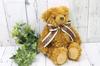 Take Off Plush Toy Music Box Classic Bear Brown