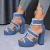 Fashion Summer Women Sandals New Platform Blue Denim Ankle Strap High Heels Shoes for Women Fashion Outdoor Sexy Peep Toe Sandals Women