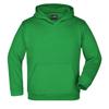 James and Nicholson Unisex Adult Moisture Wicking Hoodie