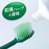 Fresh Medicated Toothpaste To Prevent Herbal Mint 95g Leaf, Non-abrasive Type, Pyorrhea, Flavor, [quasi-drug]