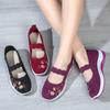 New Embroidered Women's Walking Shoes Mesh Breathable Non-slip Women's Casual Shoes