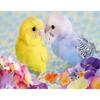 Diamond Embroidery Mosaic Animal Parrot Cross Stitch 5D DIY Diamond Painting Craft Kit Home Rhinestones Gift Decorati