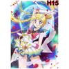 Classic Anime Sailor Moon Poster White Coated Paper Cartoon  Girl Poster Wall Stickers Home Room Bar Decoration Art Painting