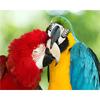 Diamond Embroidery Mosaic Animal Parrot Cross Stitch 5D DIY Diamond Painting Craft Kit Home Rhinestones Gift Decorati